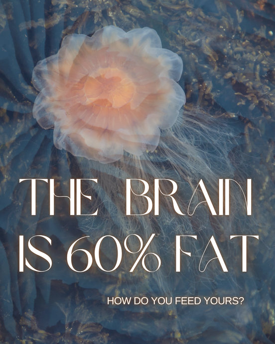 Brain Food: The Essential Nature of Fats